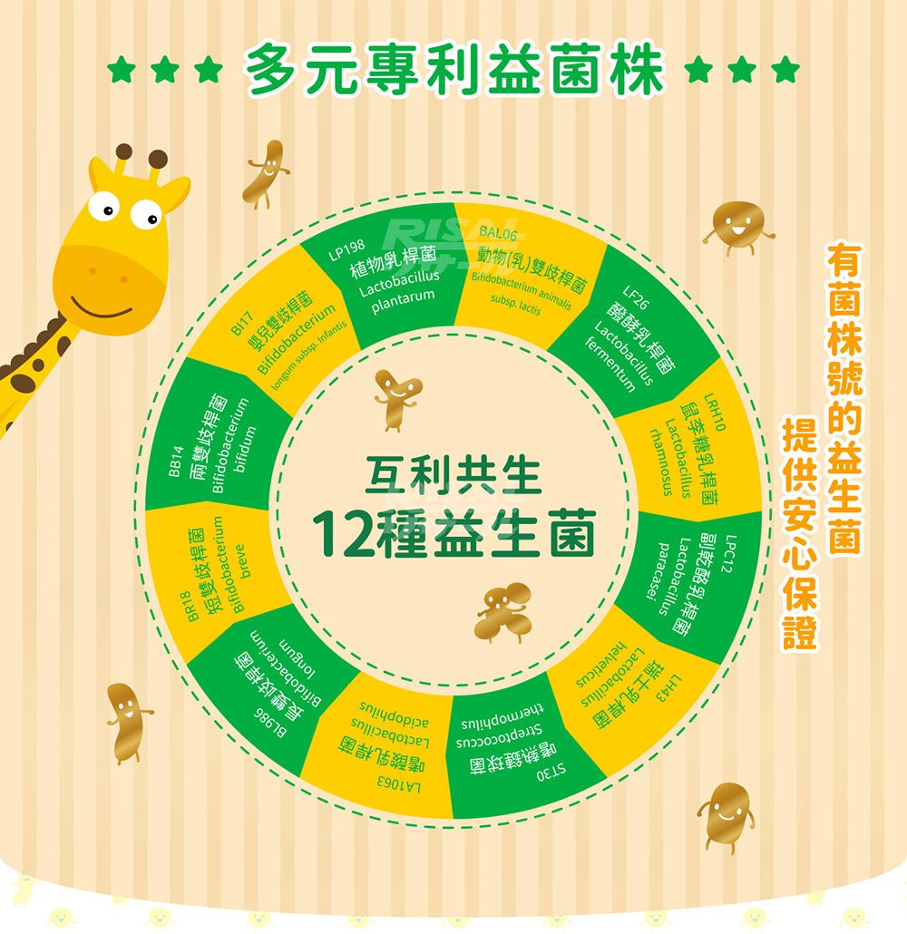 活菌12 30包/盒(無添加砂糖升級版)-30包/盒