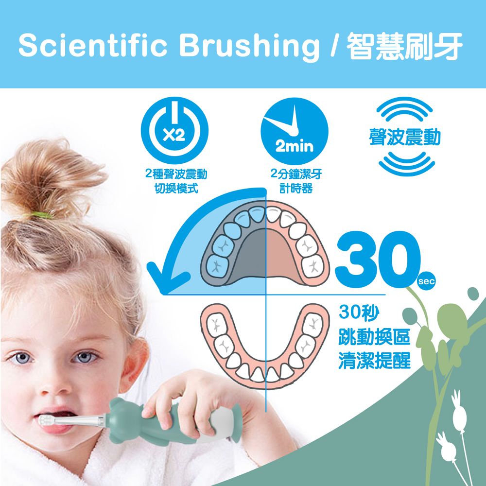 英國 brush-baby - 充電式聲波電動牙刷-無尾熊-凱莉-0-10歲