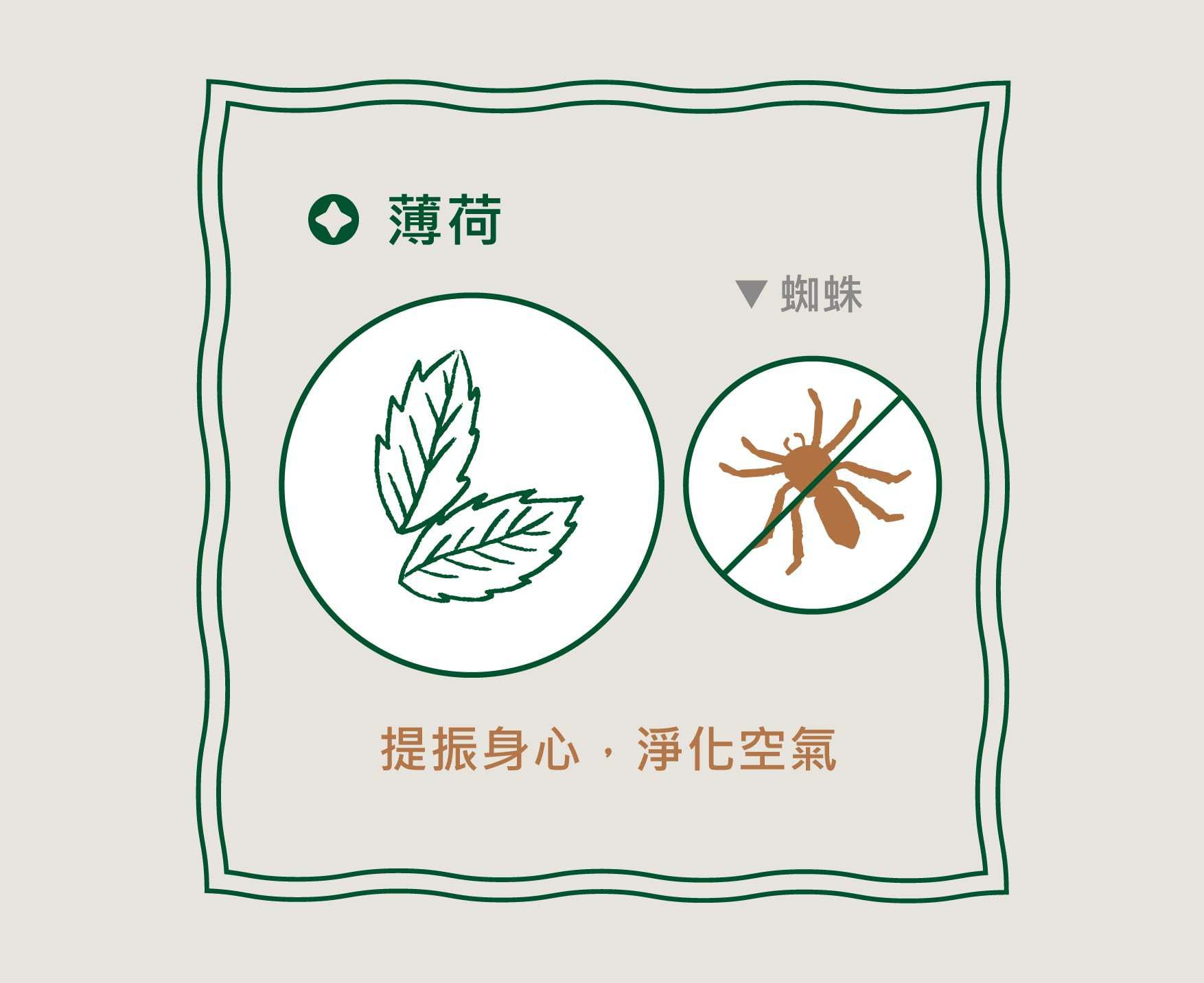 APOMAN 驅虫少年 - 萬用清潔劑-萊姆薄荷-環保無噴頭款-315ml