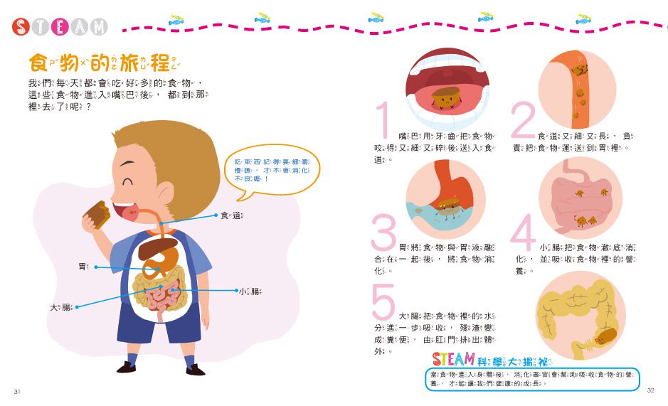 小小科學家：STEAM 實驗大發現-內含實驗材料包9組+趣味小實驗14個+科學小知識22個