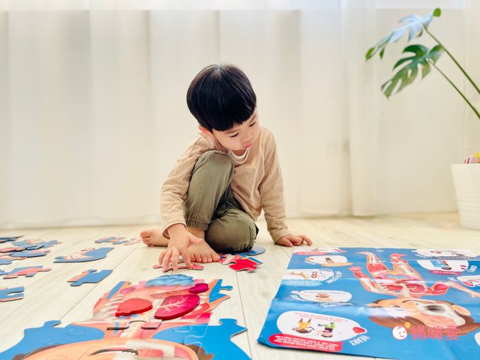 解鎖人體奧秘！小小孩好上手【德國 HAPE】人體拼圖