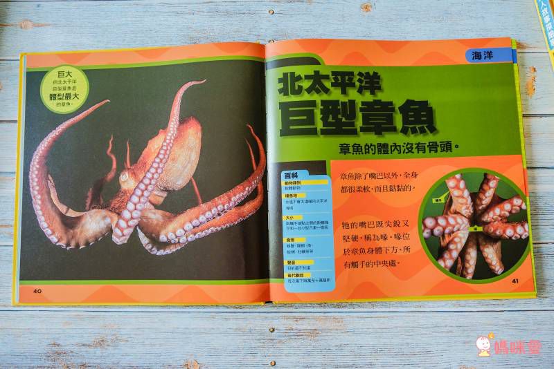 小小動物探險家 (精裝 / 128頁 / 全彩印刷)