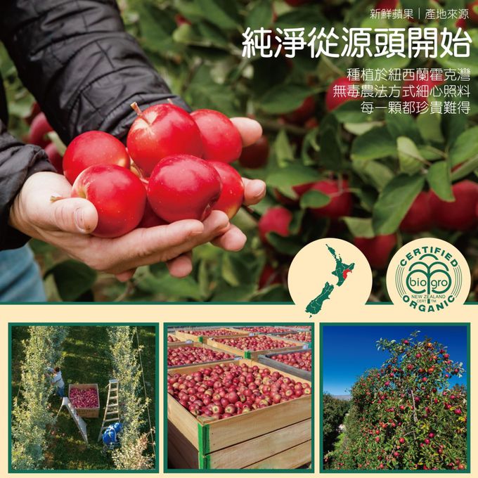 採用最純淨的頂級蘋果