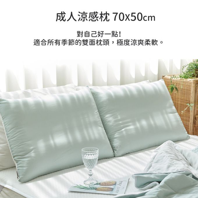 正韓Hello HiZoo - 極度冰涼 Sherbetcool 涼感造型抗菌防蟎雙面枕/涼感枕/護脊/護頸枕-薄荷綠