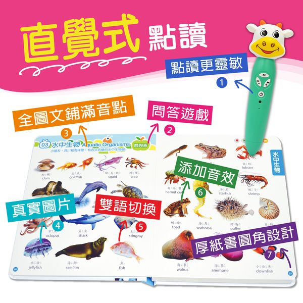 全腦開發點讀大寶盒-48件組升級版 (40.5*20.8*9.5cm)