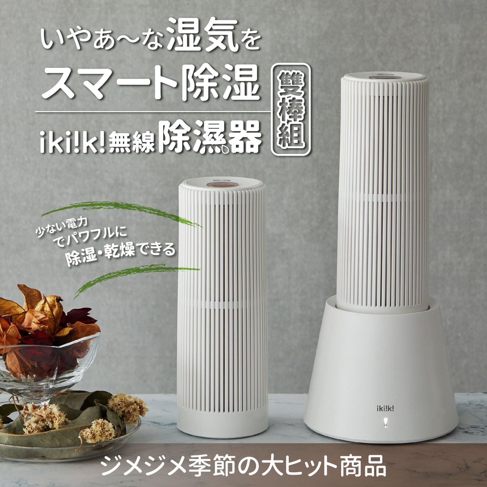 ikiiki 伊崎 - 無線除濕器-IK-DH8201-雙棒組