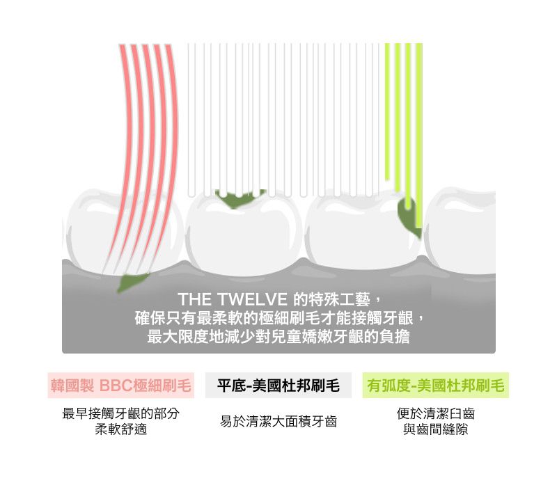 3區刷毛設計，確保清潔力且保護孩子的牙齦