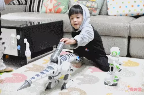 LE NENG TOYS - 多功能機械戰龍-對戰2入組