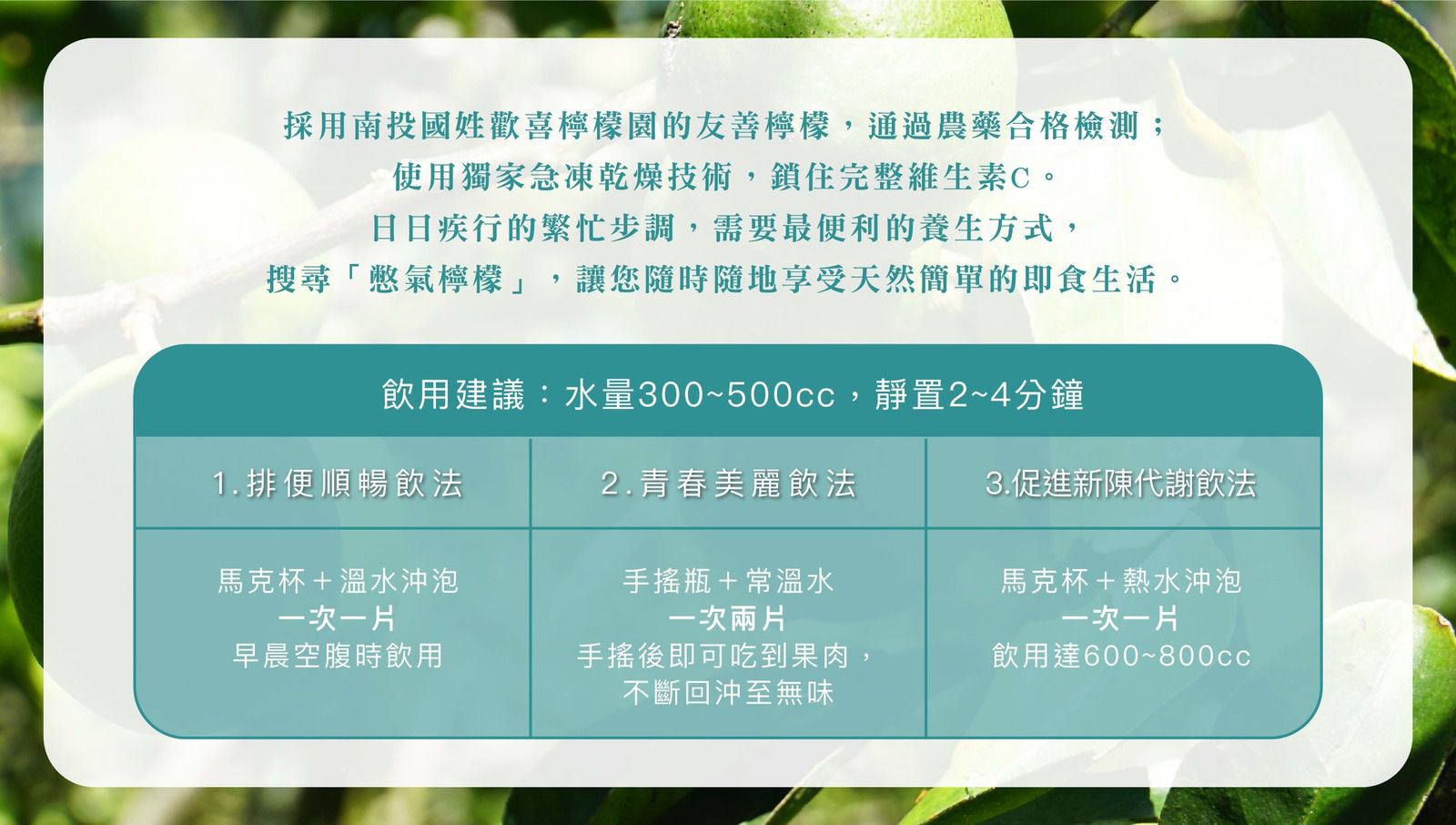 南投自然農法種植【憋氣檸檬】檸檬冰角/檸檬汁/檸檬片