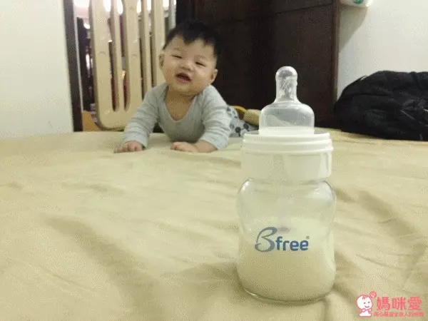 Bfree 防脹氣奶瓶 / 奶嘴