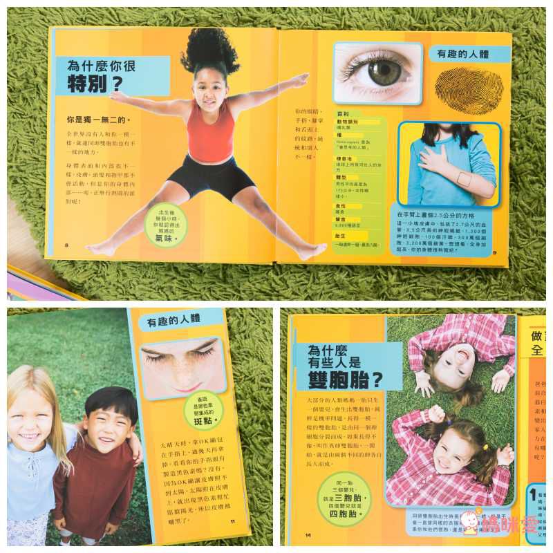 小小知識探險家 (精裝 / 128頁 / 全彩印刷)