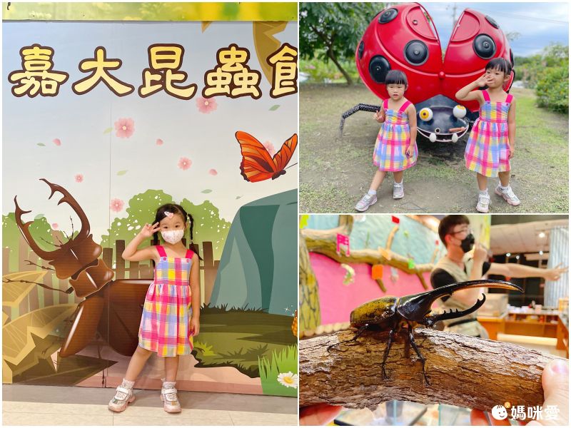 #現貨馬上出【嘉義雲登景觀飯店】2.6折↘一泊二食