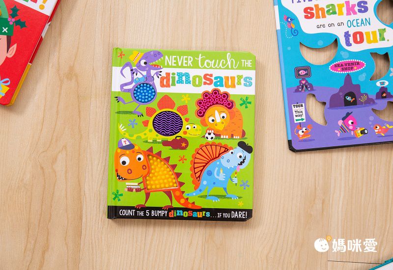 Never Touch a Grumpy Elf! 沒摸過的壞心情小精靈 (觸摸書)