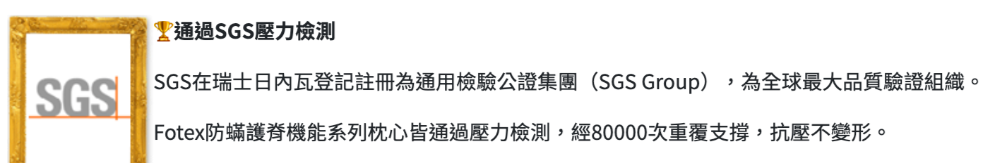Fotex 芙特斯 - 【防蟎記憶枕】柔雲款(一對2顆)含外層物理性防螨套 釋壓枕頭 過敏患者專用 (64x40x12cm)