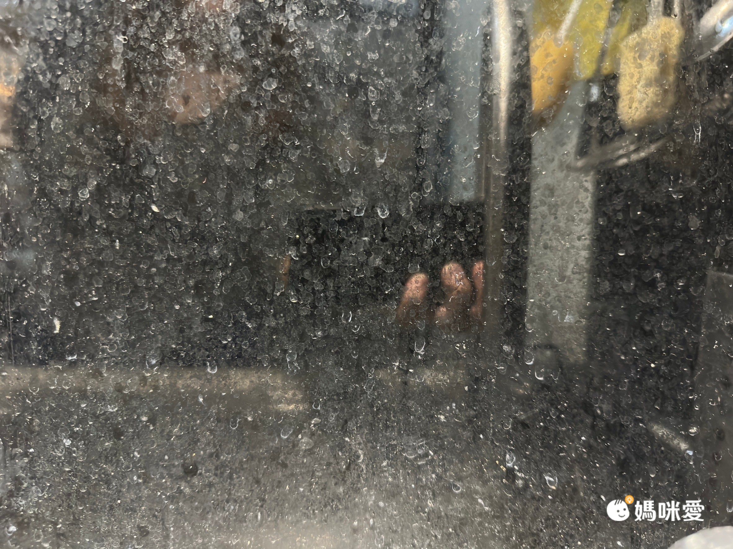 婚姻救星打掃神器【VOAR WASH SPIN C 無線電動清潔機】