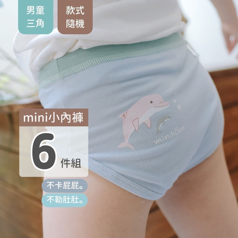 minihope美好的親子生活 - 【超值組合】男童三角褲6件組(不挑款)-款式隨機