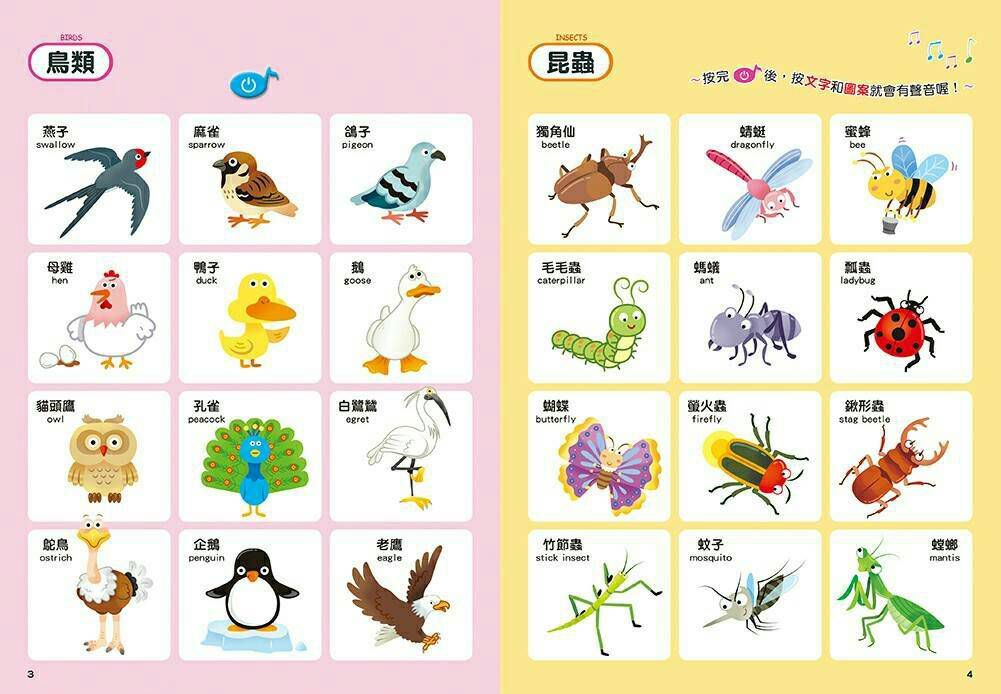 用手指點一點會說話有聲認知書(點點書1)