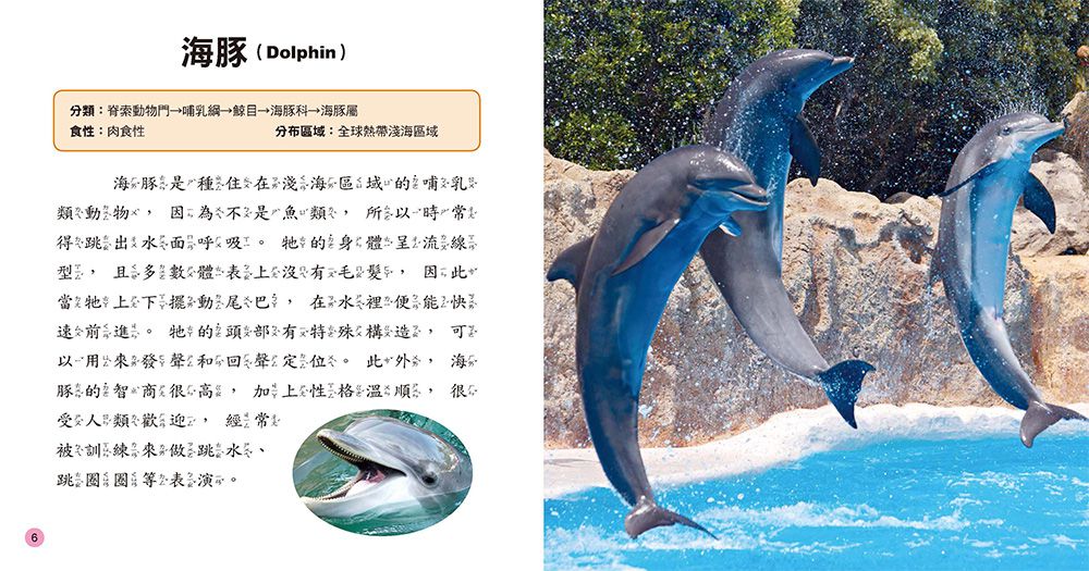 小百科圖鑑：海洋生物小百科-精裝