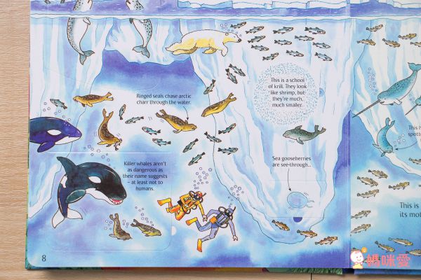 最佳兒童知識書籍♛泰晤士報讚譽【 I Wonder Why兒童百科大全套20冊】單本90元起！科學素養從小培養！