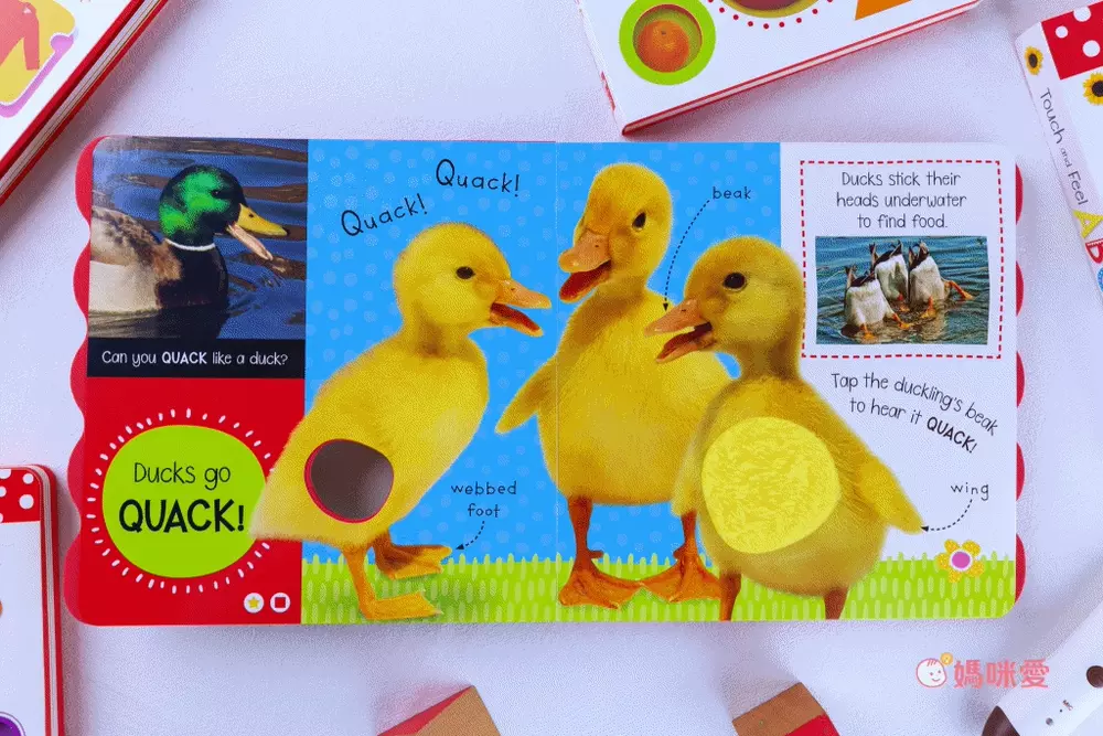 日本設計研發《KIDsREAD 四語圖解字典 》終於補貨！