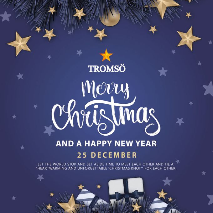 TROMSO - 豪華松針下雪聖誕樹-布朗玫瑰金 (150cm)