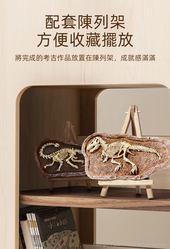 MiDeer - 考古挖掘套組-三角龍