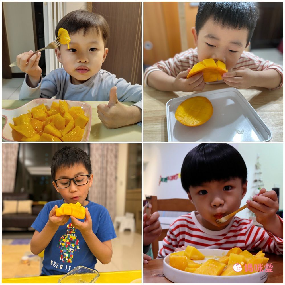 免運｜喝ㄋㄟ ㄋㄟ長大的芒果【枋山盧家芒果】甜度高達13度