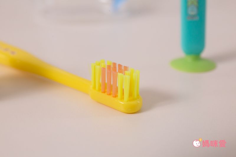 日本 U-COMPANY - 角落生物上蓋吸盤式牙刷-企鵝? (3y+)