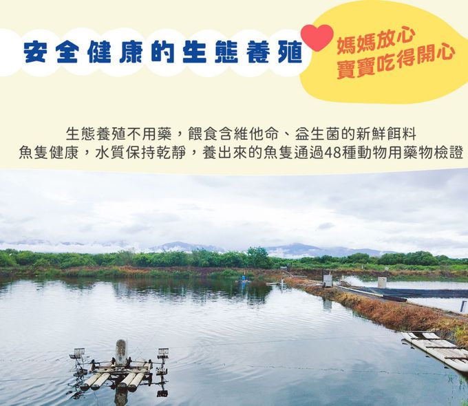 兔比媽咪廚房 - 品牌週限定-彩色造型寶寶水餃(40顆)+寶寶魚片(綜合3款入)+MINI海螺寶寶義大利麵(1包)+雞高湯(1包)