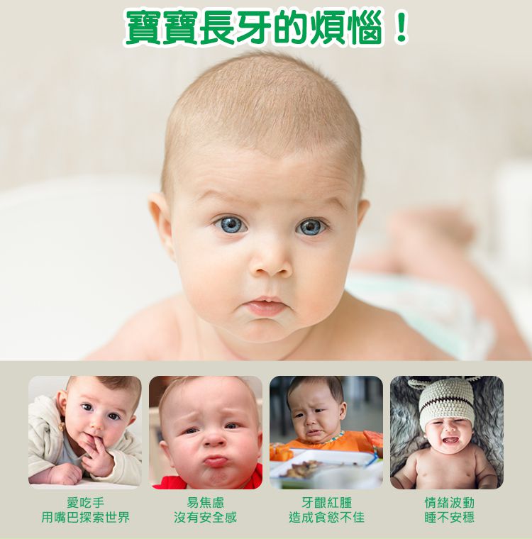 Nuby - 矽膠搖搖固齒器-鱷魚