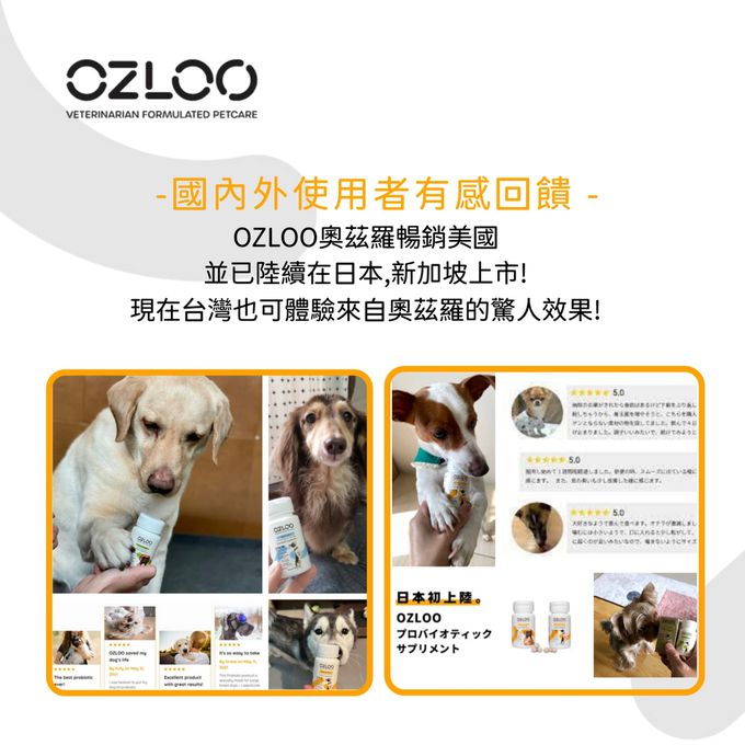 OZLOO奧茲羅 - 消化系統保健 中小型犬 60顆 兩個月份量(益生菌/維持腸道健康)