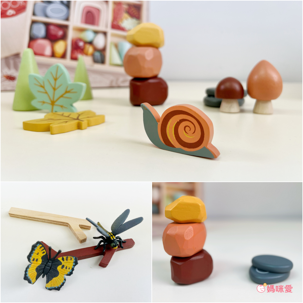 美國 Tender Leaf - 秘密森林藏寶盒