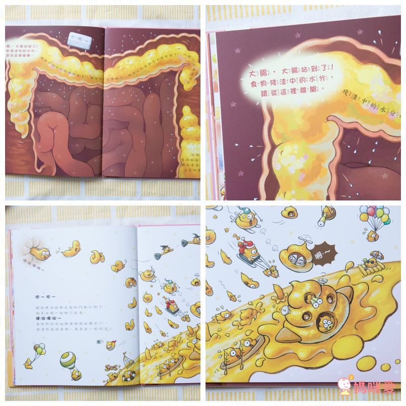 【生活自理】把飯吃光光＋刷牙小小兵＋五感套書＋字母積木書