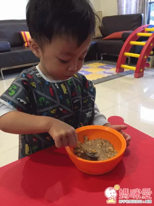 澳洲Weet-Bix - 全榖片-麥香高鈣-效期20191009-375g/盒