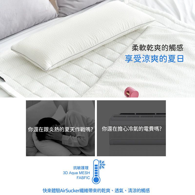 正韓Hello HiZoo - 3D Aqua Mesh 涼感加寬抗菌防蟎雙面枕/涼感枕/護脊/護頸枕