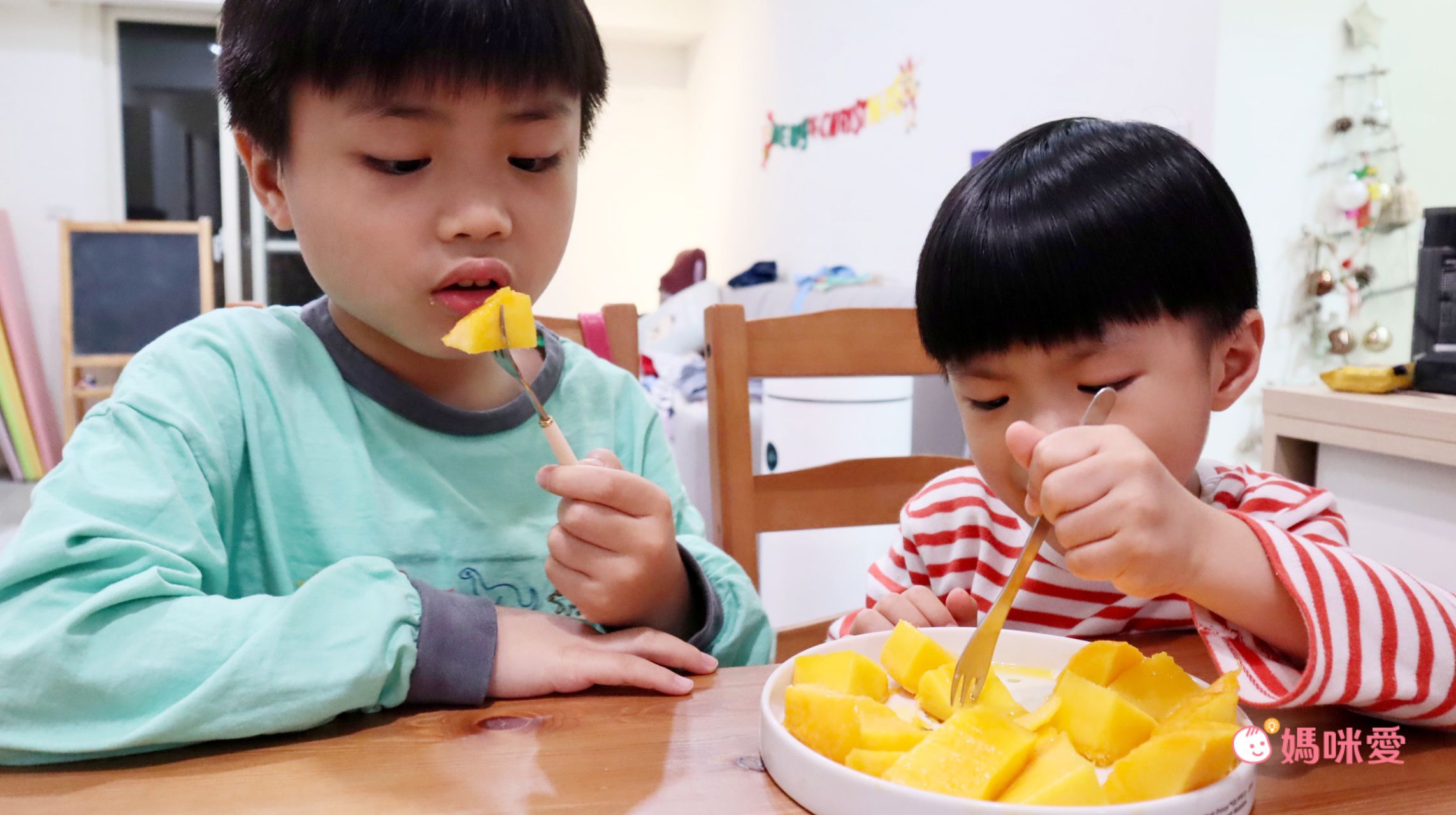 免運｜喝ㄋㄟ ㄋㄟ長大的芒果【枋山盧家芒果】甜度高達13度