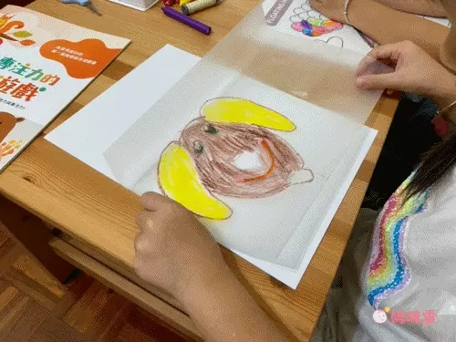 獨家！重複撕貼不傷牆【台灣 kidzcrayon】創意透光描圖貼紙