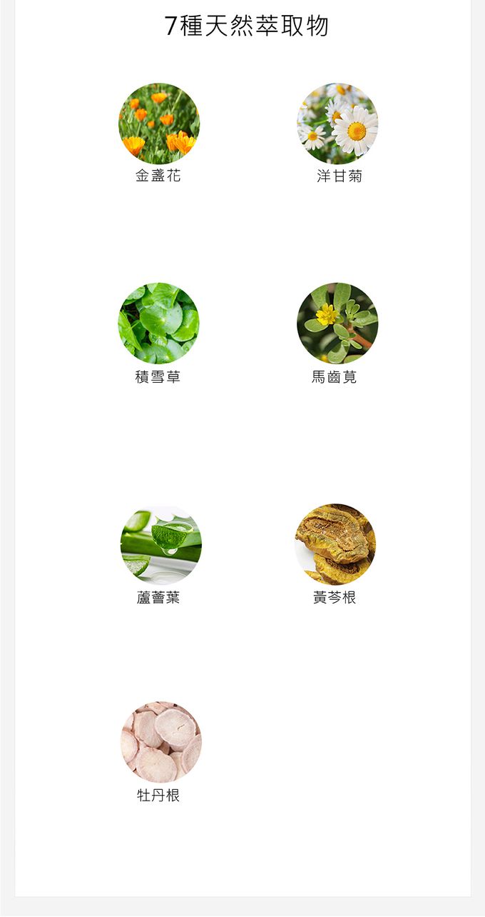 韓國RICO baby - 金盞花top to toe 寶寶洗髮沐浴慕斯 500ml