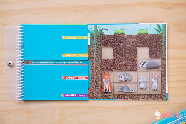 Miss Jill x Evan哥 專屬團購 ♕ 比利時SMART GAMES益智桌遊