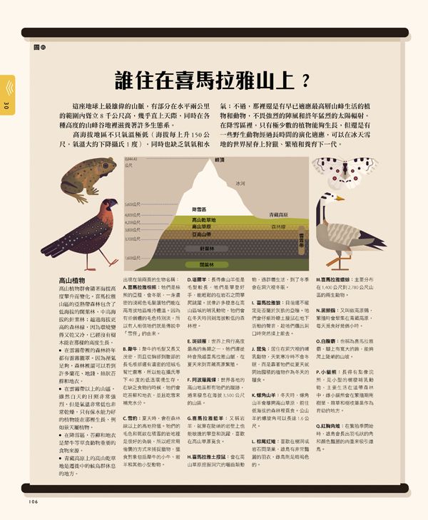 自然大視界：不可思議的生態奧祕圖鑑