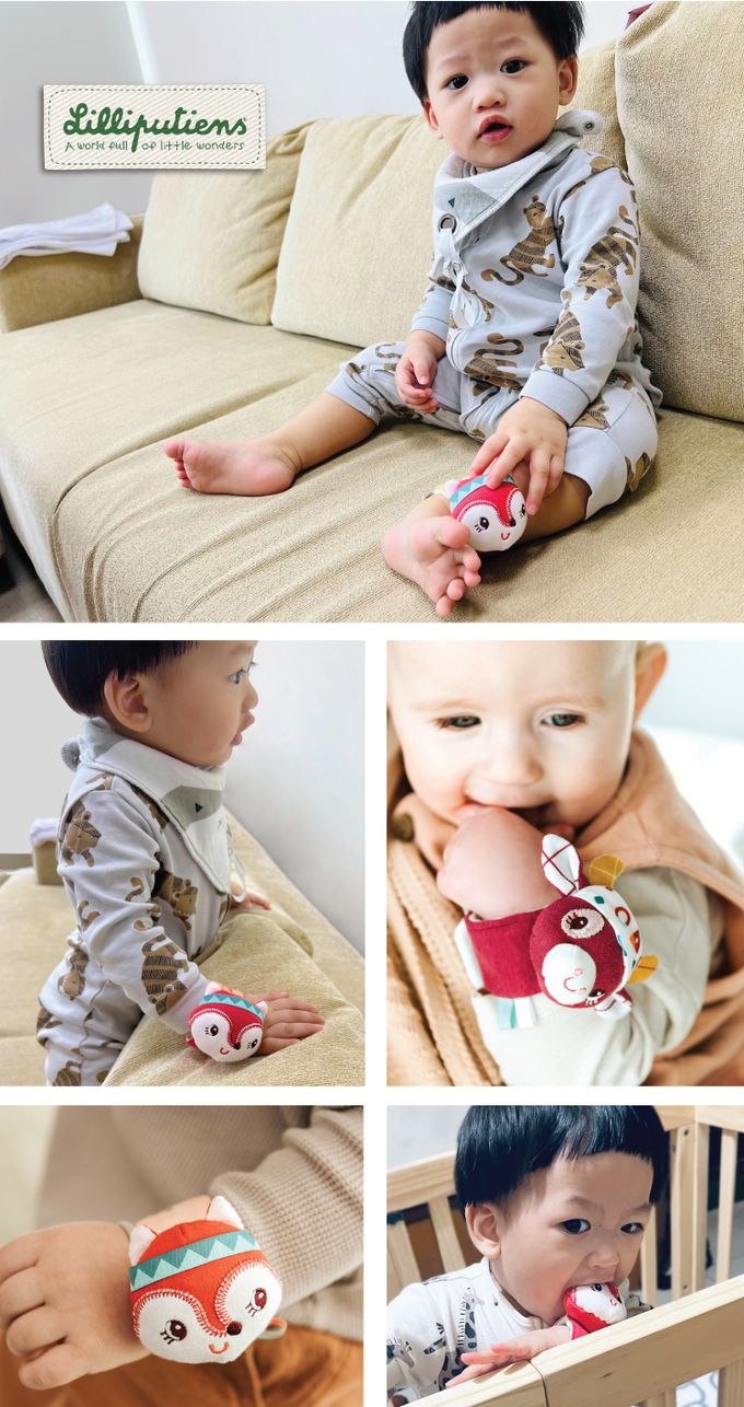 比利時 Lilliputiens - 有機棉手腕帶-愛麗絲小狐