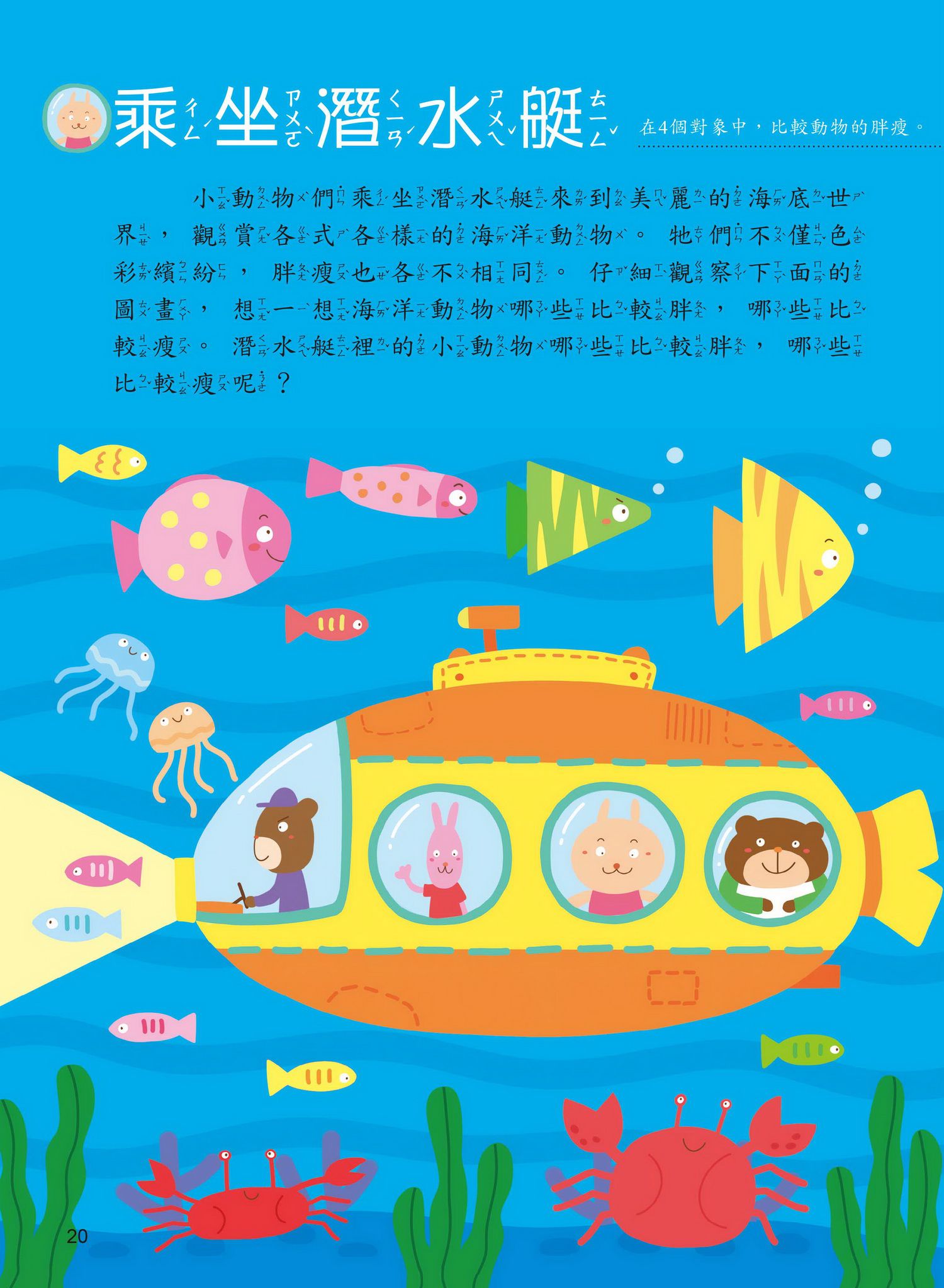 學前數學基礎概念  比較關係+分類概念