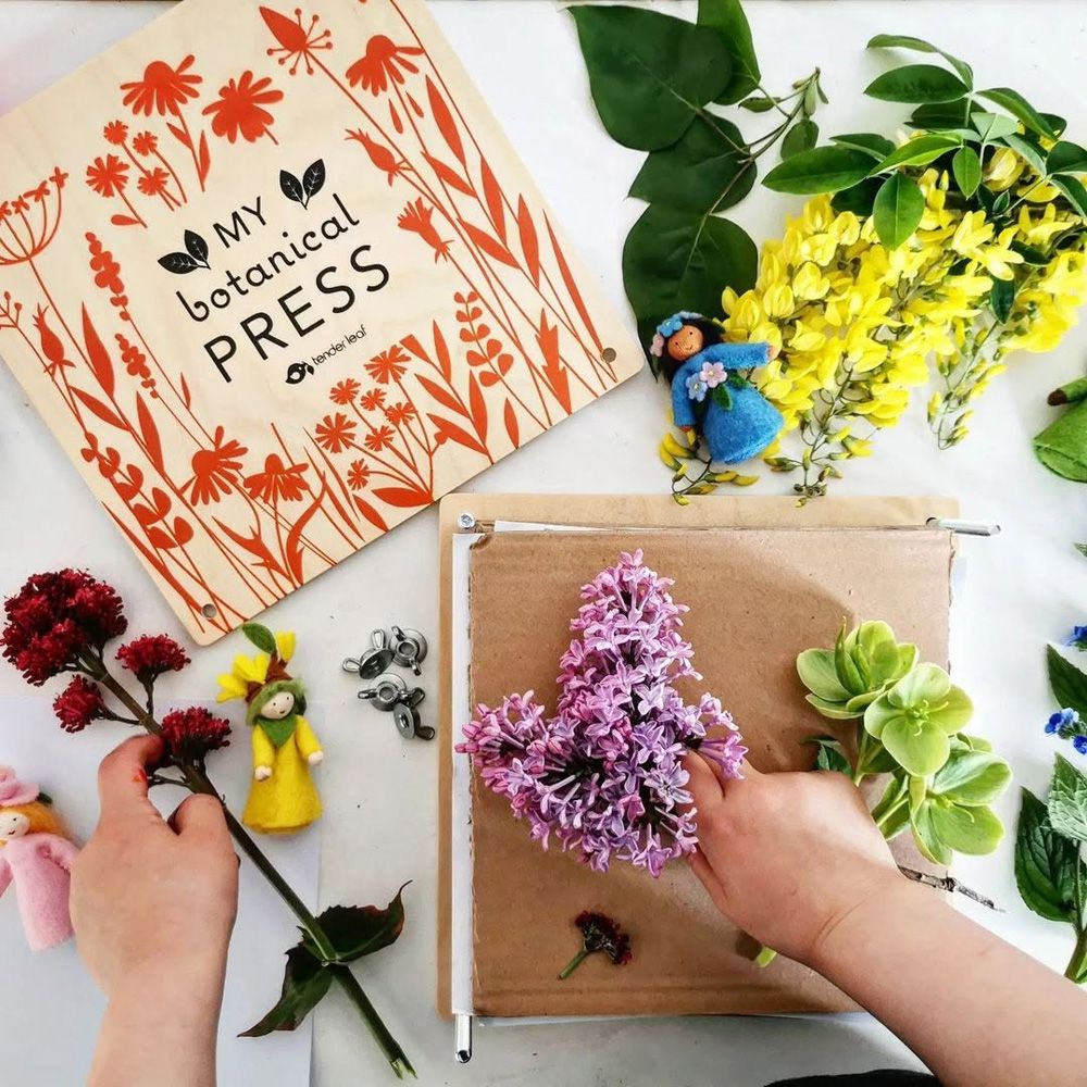 木製四季壓花本