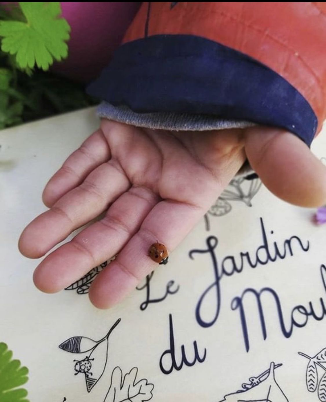 Moulin Roty - 故事手電筒精裝組-四季