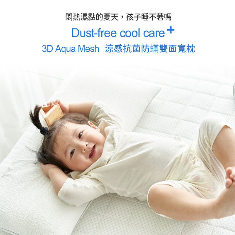正韓Hello HiZoo - 3D Aqua Mesh 涼感加寬抗菌防蟎雙面枕/涼感枕/護脊/護頸枕