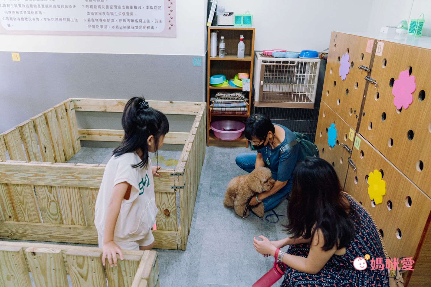 花蓮福容大飯店 - 『媽咪愛特談』平日兩大兩小市景家庭房專案-有效期限至2024/10/31