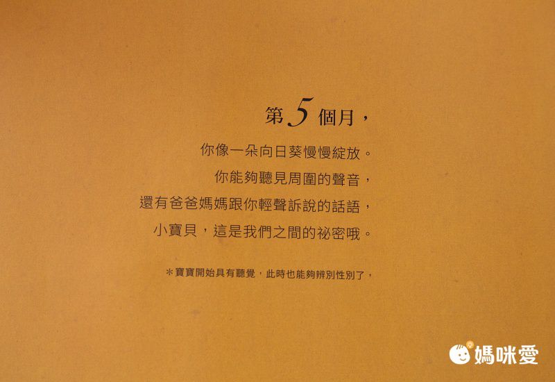你在媽媽肚子裡的樣子―1：1真實比例小寶寶立體書（立體封面典藏版）