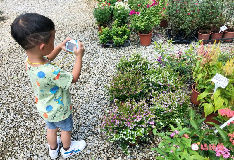 FUNY - <超值兩入組>麻吉貓童趣數位相機-粉兩台-【升級附贈】32G記憶卡*2