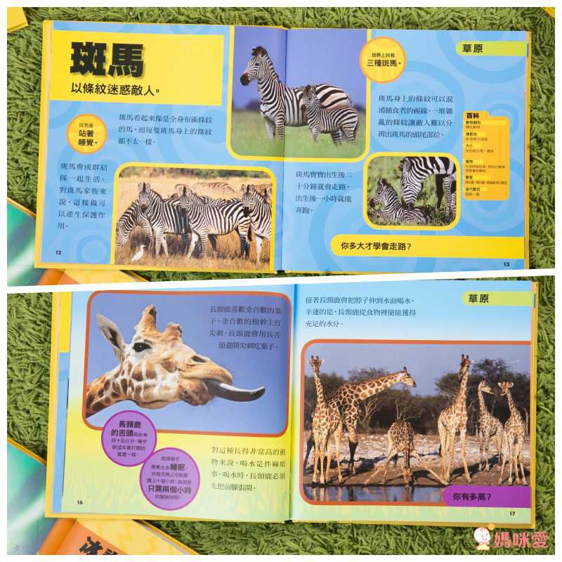 小小動物探險家 (精裝 / 128頁 / 全彩印刷)