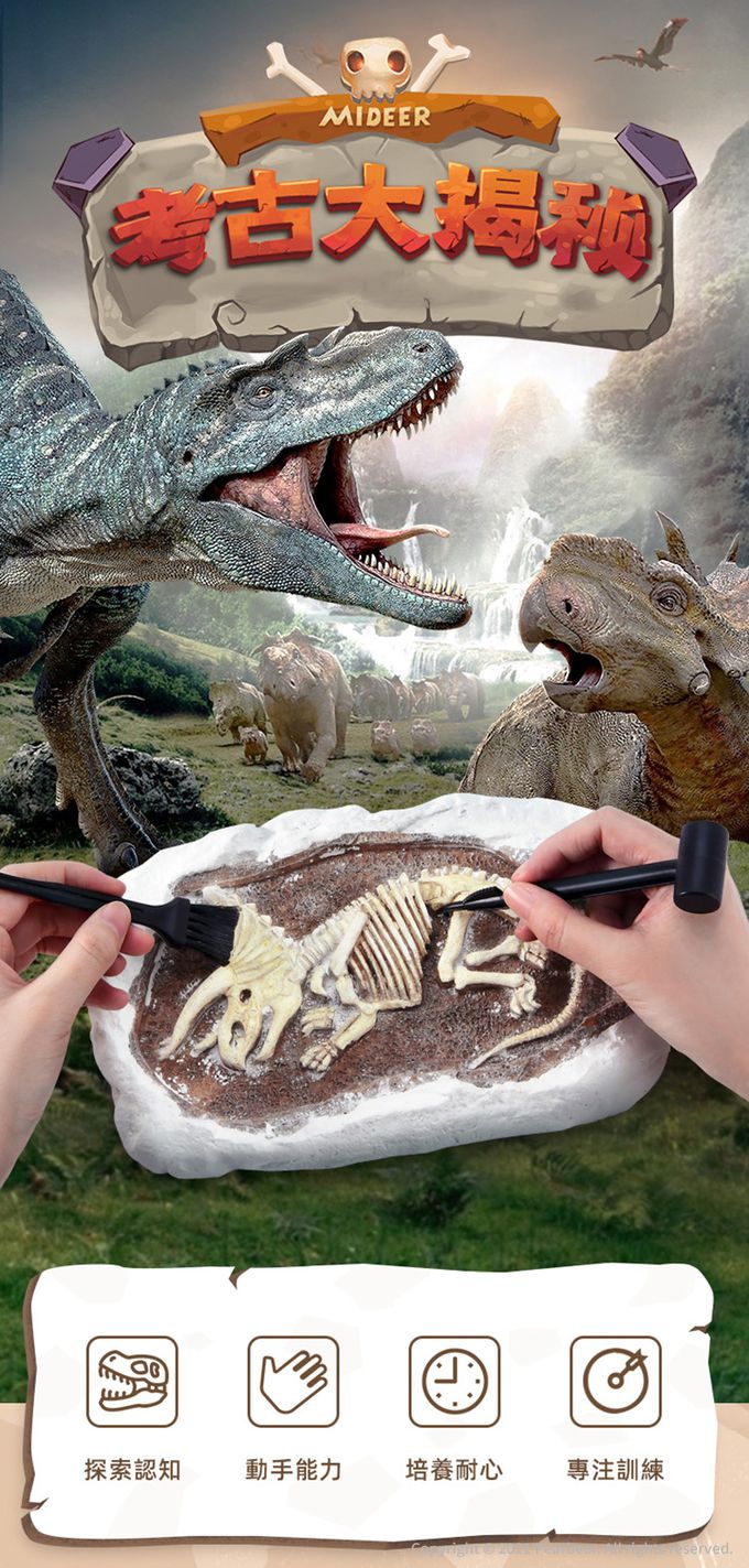 MiDeer - 考古挖掘套組-霸王龍